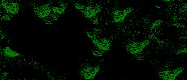 Grunge üst üste biniyor. Soyut siyah-beyaz vektör arkaplanı. Çatlak, leke ve noktalarda kirli desenli tek renkli klasik yüzey. Karanlık korku tarzında eski bir duvar.