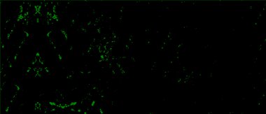 Grunge üst üste biniyor. Soyut siyah-beyaz vektör arkaplanı. Çatlak, leke ve noktalarda kirli desenli tek renkli klasik yüzey. Karanlık korku tarzında eski bir duvar.