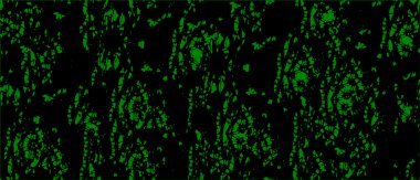 Grunge black and white pattern. Monochrome particles abstract texture. Background of cracks, scuffs, chips, stains, ink spots, lines. Dark design background surface. Gray printing element