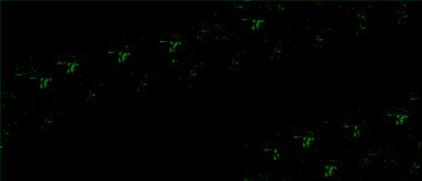 Grunge üst üste biniyor. Soyut siyah-beyaz vektör arkaplanı. Çatlak, leke ve noktalarda kirli desenli tek renkli klasik yüzey. Karanlık korku tarzında eski bir duvar.