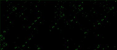 Grunge üst üste biniyor. Soyut siyah-beyaz vektör arkaplanı. Çatlak, leke ve noktalarda kirli desenli tek renkli klasik yüzey. Karanlık korku tarzında eski bir duvar.