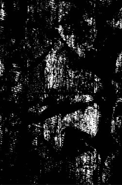 Grunge üst üste biniyor. Soyut siyah-beyaz vektör arkaplanı. Çatlak, leke ve noktalarda kirli desenli tek renkli klasik yüzey. Karanlık korku tarzında eski bir duvar.
