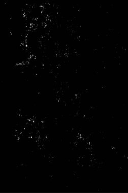 Soyut arkaplan. Monokrom dokusu. Resim siyah ve beyaz tonları içerir.