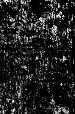 Soyut arkaplan. Tek renk dokusu siyah ve beyaz tonları içerir. vektör illüstrasyonu