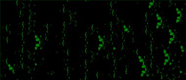 Grunge üst üste biniyor. Soyut siyah-beyaz vektör arkaplanı. Çatlak, leke ve noktalarda kirli desenli tek renkli klasik yüzey. Karanlık korku tarzında eski bir duvar.
