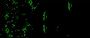 Grunge black and white pattern. Monochrome particles abstract texture. Background of cracks, scuffs, chips, stains, ink spots, lines. Dark design background surface. Gray printing element