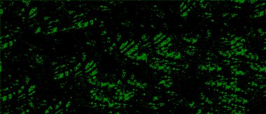 soyut siyah beyaz resimleme arkaplanı veya duvar kağıdı