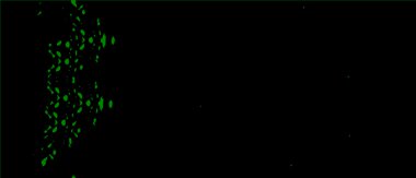 fantezi karmaşası. soyut illüstrasyon arkaplanı veya duvar kağıdı