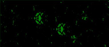 soyut monokrom arkaplanı, vektör illüstrasyonu