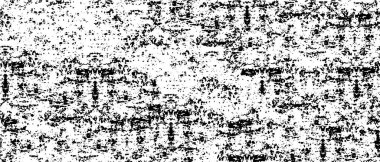 Grunge arka planı siyah beyaz vektör. Toz, kir ve lekelerin soyut dokusu