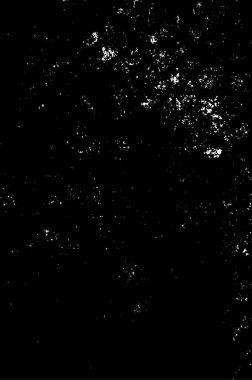 Grunge arka planı siyah beyaz vektör. Toz, kir ve lekelerin soyut dokusu