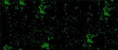 Pis, küçük lekeli, kum ve gürültülü Grunge yüzey dokusu. Küçük kirli yerleri rastgele dolduran soyut bir arkaplan. Vektör çizimi. Üstüste şablon.