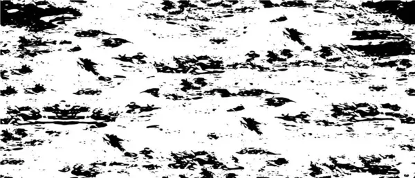 Grunge arka planı siyah beyaz vektör. Toz, kir ve lekelerin soyut dokusu