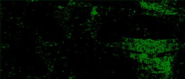 Siyah ve beyaz soyut arka plan. grunge dokusu, vektör illüstrasyonu    