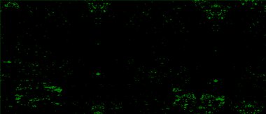 Grunge üst üste biniyor. Soyut siyah-beyaz vektör arkaplanı. Çatlak, leke ve noktalarda kirli desenli tek renkli klasik yüzey. Karanlık korku tarzında eski bir duvar.