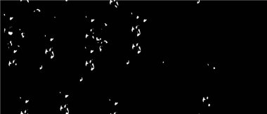 Grunge dokuyu örtüyor. Soyut siyah-beyaz vektör arkaplanı. Tek renkli vintage yüzey      