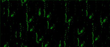 Kirli efektli klasik şablon