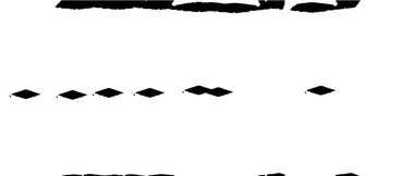 Grunge üst üste biniyor. Soyut siyah ve beyaz vektör arkaplanı. 