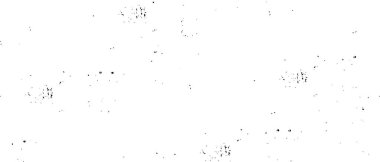 Siyah ve beyaz renklerde soyut bir arkaplan. monokrom dokusu. tasarım kapağı, iç dekorasyon, vektör illüstrasyonu için yaratıcı arkaplan