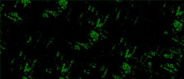 soyut grunge desen arka planı siyah ve yeşil renklerde. tasarım kapağı, iç dekorasyon, vektör illüstrasyonu için yaratıcı arkaplan