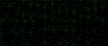 Soyut grunge arkaplanı. Monokrom dokusu. Siyah ve beyaz desenli arkaplan