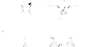 Soyut grunge arkaplanı. Monokrom dokusu. Siyah ve beyaz desenli arkaplan