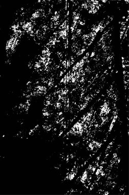 Soyut arkaplan. monokrom dokusu. resim siyah ve beyaz tonları içerir.