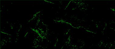 soyut yeşil renk grunge arkaplanı