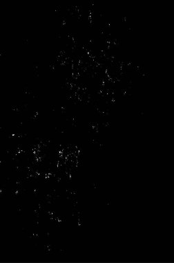 soyut siyah ve beyaz vektör arkaplanı