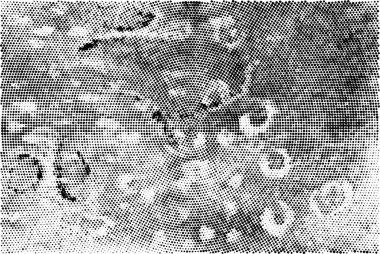 Stresli doku. Siyah ve örtülü doku. Geçmişi. Geçmişi. Toz dokusu örtüyor. doku arka plan yüzeyi. 3 'ün paslı yüzeyi. Tasarım 1.