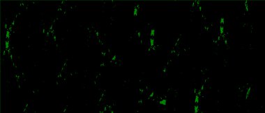 Vektör çizimi. soyut siyah beyaz arkaplan, doku.  