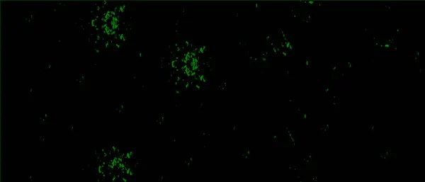 Abstrait Fond Texture Grunge Dans Des Couleurs Noires Vertes Fond — Image vectorielle