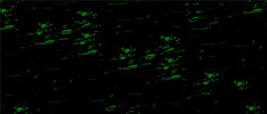 Monokrom elementlerle soyut desen. vektör illüstrasyonu