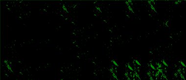 Soyut arkaplan. Monokrom dokusu. Siyah ve beyaz tonlar.