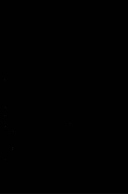 Siyah Renk Üzerine Bir Dijital Fraktal Resmi