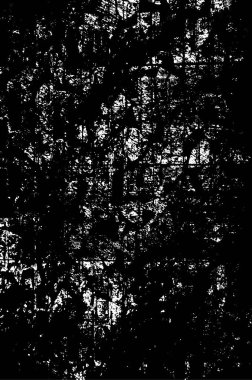 Soyut Tek Renkli Grunge Arkaplanı.