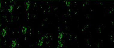Siyah ve beyaz soyut arka plan. Çatlakların, tozun, lekelerin tek renkli dokusu. Yazdırma ve tasarım için desen