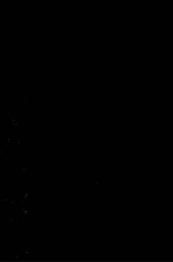 Soyut arkaplan. Monokrom dokusu. Siyah ve beyaz desenli arkaplan.