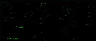 Soyut siyah beyaz monokrom arkaplan. grafik vektör illüstrasyonu