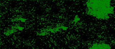 Soyut siyah beyaz monokrom arkaplan. grafik vektör illüstrasyonu