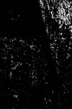 Grunge tarzında soyut siyah beyaz doku. vektör illüstrasyonu