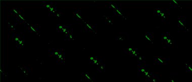 Soyut arkaplan. Monokrom dokusu. Resim siyah ve beyaz tonları içerir.