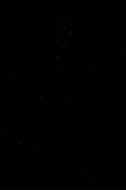 Grunge üst üste biniyor. Soyut siyah-beyaz vektör arkaplanı. Çatlak, leke ve noktalarda kirli desenli tek renkli klasik yüzey. Karanlık korku tarzında eski bir duvar.