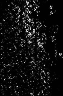 Grunge tarzında soyut siyah beyaz doku. vektör illüstrasyonu