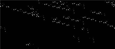 Soyut arkaplan. Monokrom dokusu. Resim siyah ve beyaz tonları içerir.