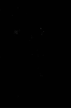 Soyut siyah-beyaz desenli arka plan. vektör illüstrasyonu  