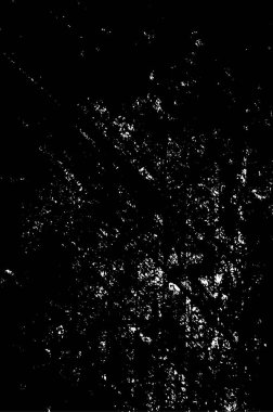 Soyut siyah-beyaz grunge arka planı. Vektör illüstrasyonu
