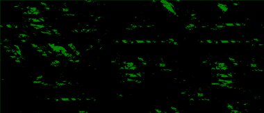 Soyut siyah beyaz monokrom arkaplan. Vektör illüstrasyonu