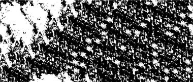 yeşil ve siyah grunge arkaplanı