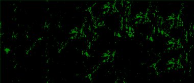 Siyah arka planı olan yeşil ve siyah bir arkaplan